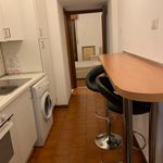 Rent 1 bedroom apartment in Cologno Monzese