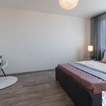 Pronajměte si 2 ložnic/e byt o rozloze 36 m² v Rakovník