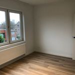 Rent 3 bedroom apartment in Edegem