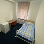 Rent 1 bedroom apartment in Cesky Krumlov