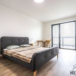 Rent 3 bedroom apartment of 109 m² in Píšťany