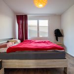 Miete 4 Schlafzimmer wohnung von 93 m² in Erlach