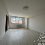 Rent 1 bedroom apartment of 76 m² in Kolín