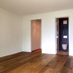 Rent 7 bedroom apartment of 251 m² in Neuchâtel