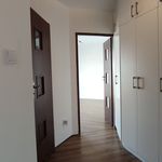 Wynajmij 3 sypialnię apartament z 74 m² w Biała Podlaska