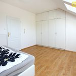 Rent 1 bedroom house of 193 m² in Praha