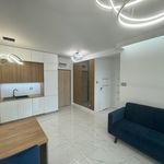 Rent 2 bedroom apartment of 44 m² in Radom