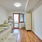 Rent 3 bedroom apartment of 83 m² in Trnava