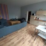 Rent 1 bedroom apartment in Łódź