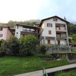 Rent 3 bedroom apartment of 80 m² in Trento