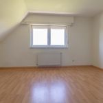 Rent 4 bedroom house of 150 m² in Zaventem