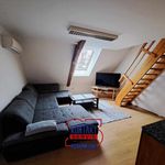 Rent 2 bedroom apartment of 55 m² in Ceské Budejovice