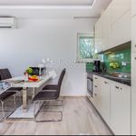 Rent 2 bedroom apartment of 40 m² in Doričići