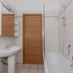 Affitto 3 camera appartamento di 100 m² in Camponogara
