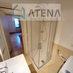 Rent 3 bedroom apartment of 107 m² in Padova