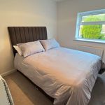Rent 4 bedroom house in Bishop Auckland
