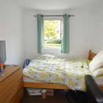 Rent 3 bedroom apartment in York