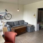Rent 1 bedroom apartment in Dilbeek