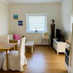 Rent 2 bedroom apartment of 50 m² in Villach
