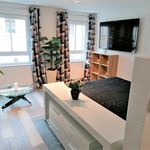 Rent 1 bedroom apartment of 43 m² in Baden-Baden