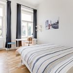 Rent 5 bedroom apartment in Praha