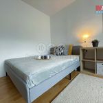 Rent 1 bedroom apartment of 35 m² in Rokytnice nad Jizerou