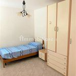 Rent 3 bedroom apartment of 80 m² in Settingiano