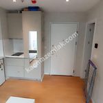 Rent 1 bedroom apartment of 40 m² in Istanbul