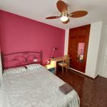 Alquilar 6 dormitorio apartamento en Valencia