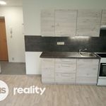 Rent 1 bedroom apartment of 23 m² in Opava
