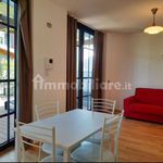 Rent 2 bedroom apartment of 50 m² in Savona