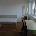 Rent 3 bedroom apartment of 93 m² in Brno