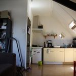 Rent 1 bedroom apartment of 49 m² in Arnhem
