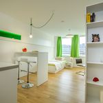 Rent 1 bedroom apartment of 24 m² in Nürnberg