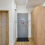 Rent 3 bedroom apartment of 71 m² in Dolní Olešnice