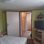 Rent 1 bedroom apartment of 45 m² in Zlín