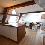 Rent 2 bedroom apartment of 40 m² in Delft