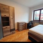 Rent 9 bedroom house of 370 m² in Warszawa