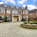 Rent 7 bedroom house in East Of England
