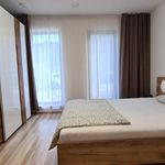 Rent 1 bedroom apartment of 866 m² in Číhošť
