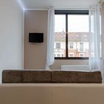 Rent 1 bedroom apartment of 45 m² in Torino