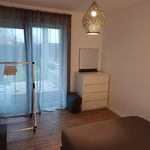 Rent 2 bedroom apartment of 43 m² in Groß-Zimmern