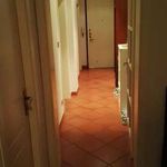 Rent 2 bedroom apartment of 80 m² in Bologna