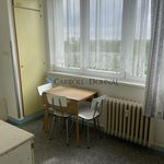 Rent 1 bedroom apartment of 25 m² in Ostrava