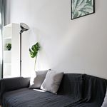 Rent 4 bedroom apartment in Wrocław