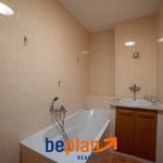 Rent 1 bedroom apartment of 60 m² in Sokolov