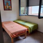 Affitto 2 camera appartamento di 80 m² in Camaiore
