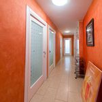 Rent 3 bedroom apartment of 90 m² in Castellón de la Plana