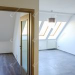 Rent 2 bedroom apartment of 57 m² in Székesfehérvár