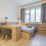 Rent 1 bedroom apartment of 25 m² in Praha